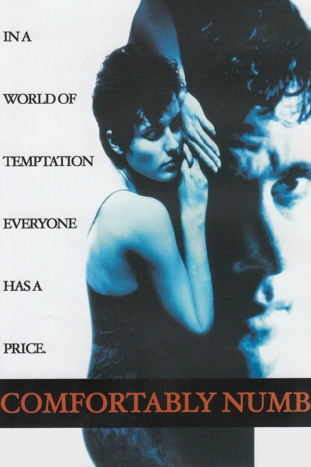 Comfortably Numb photo