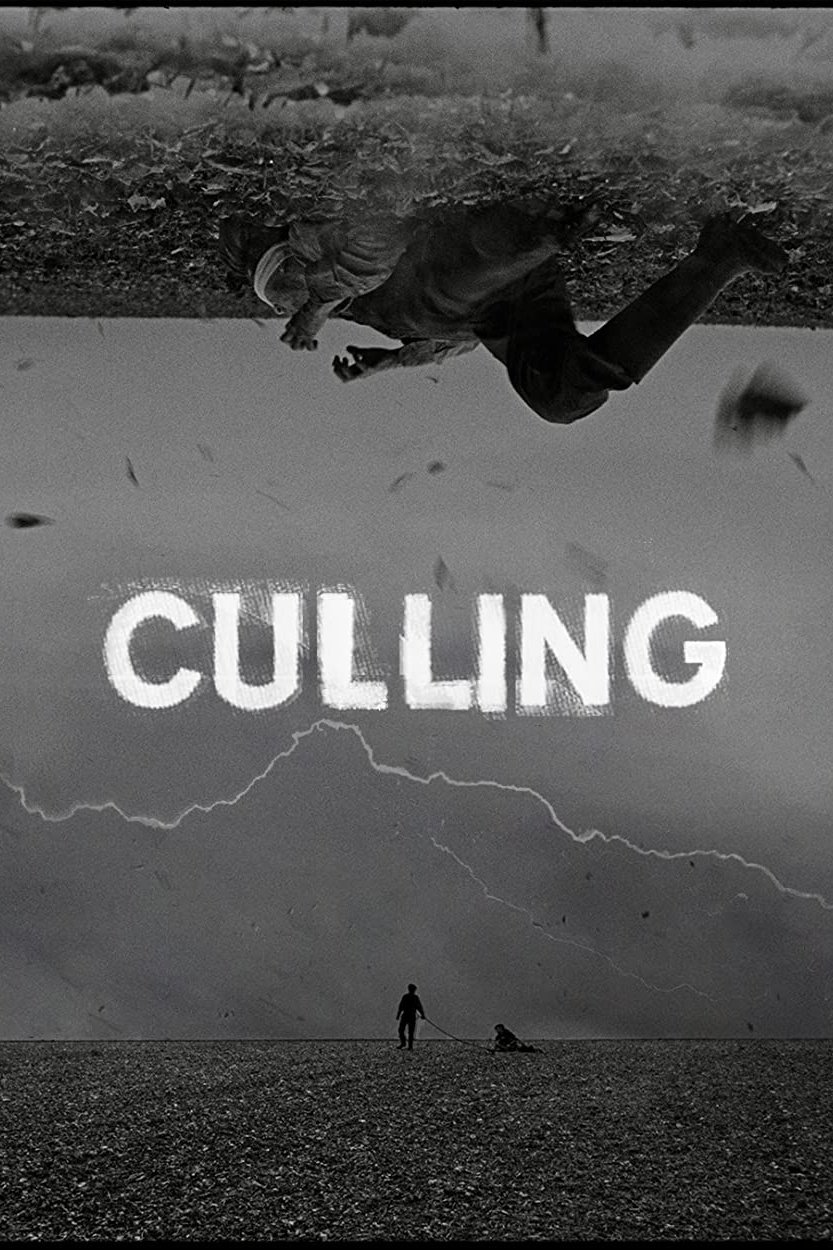 Culling photo