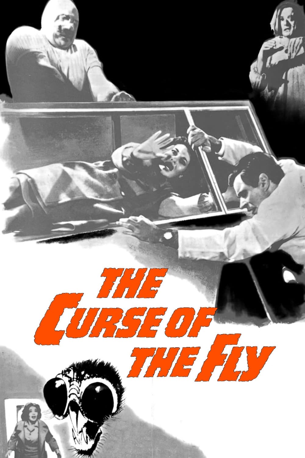 Curse of the Fly photo