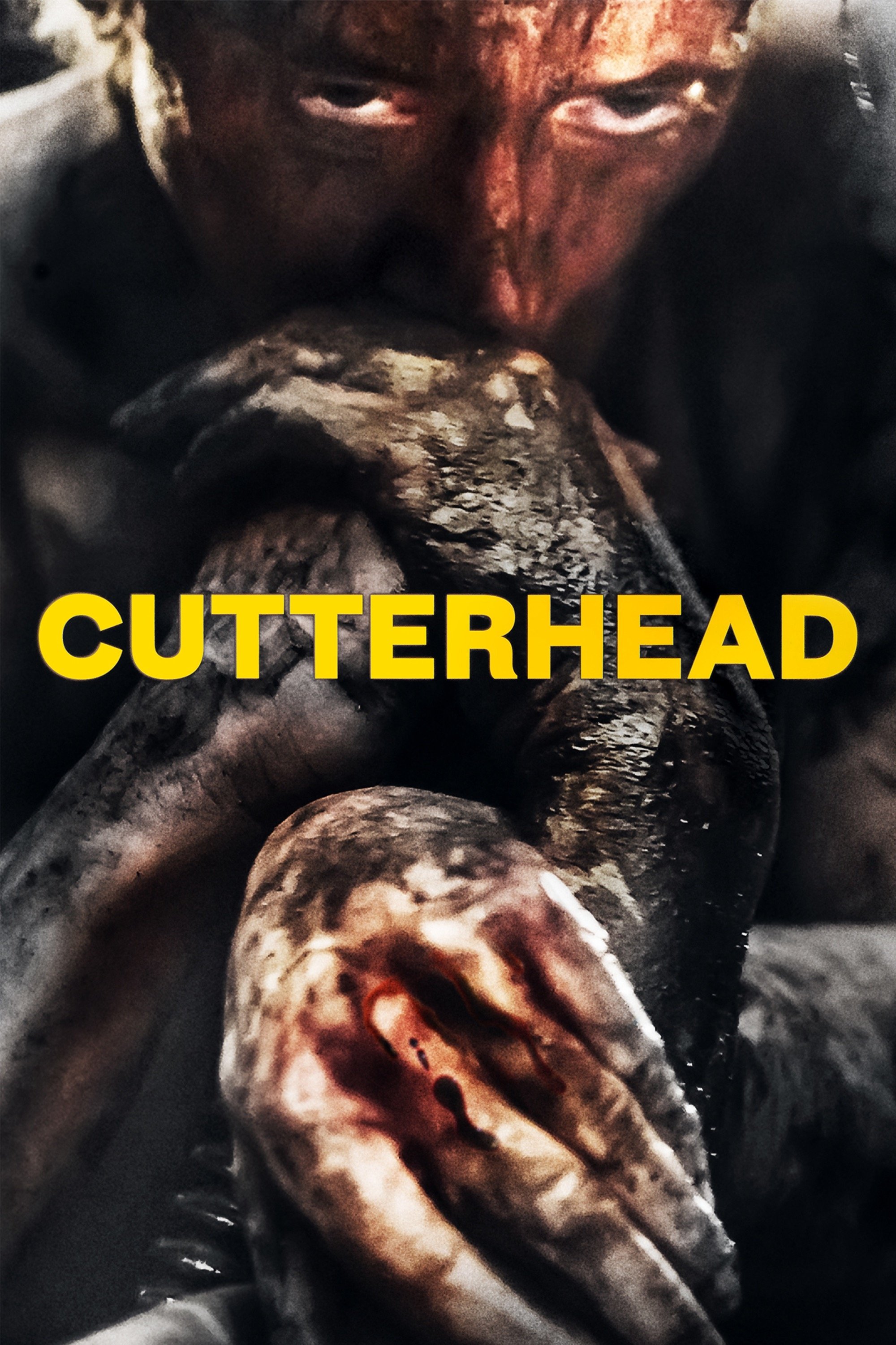 Cutterhead photo