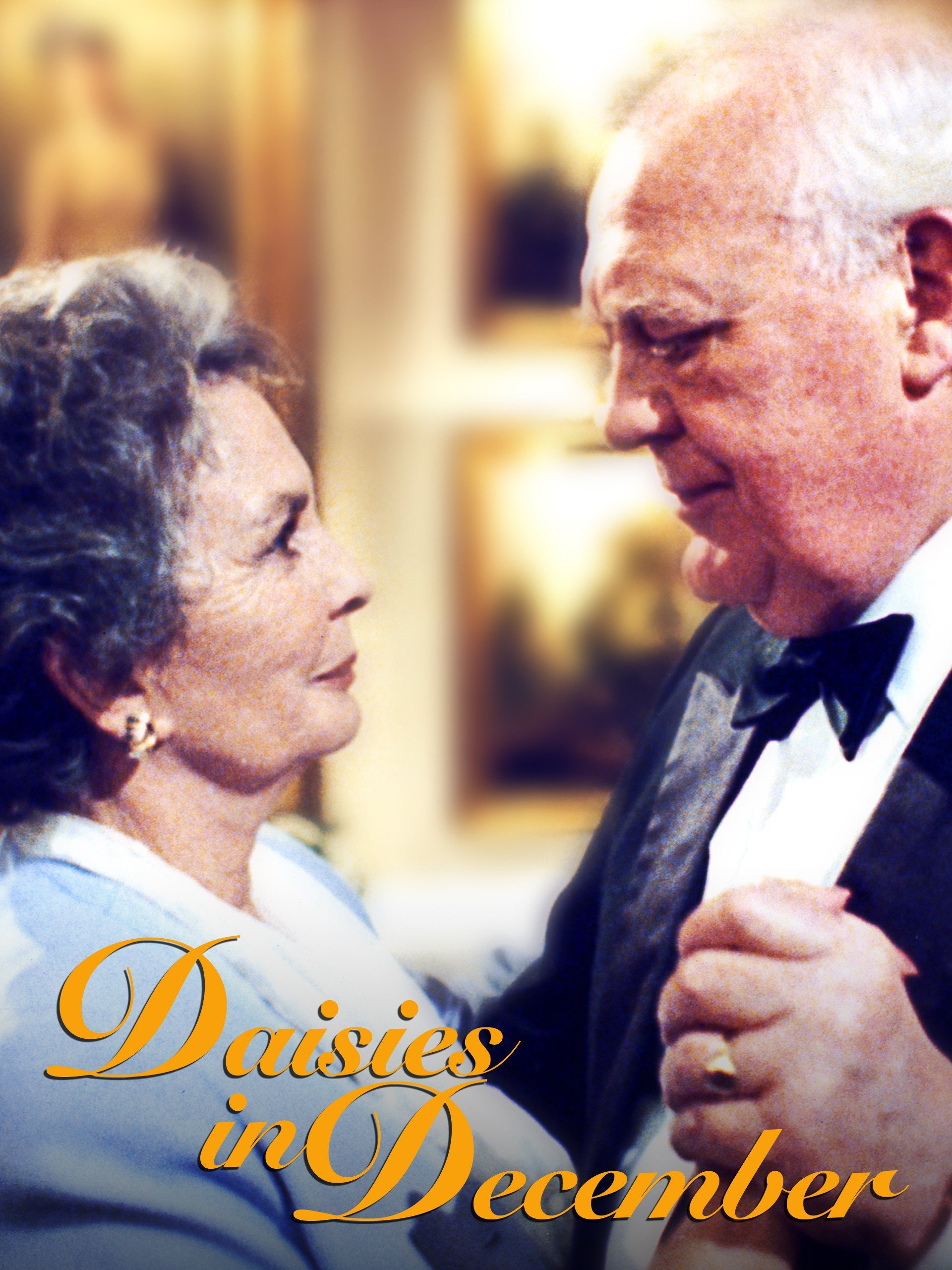 Daisies in December photo