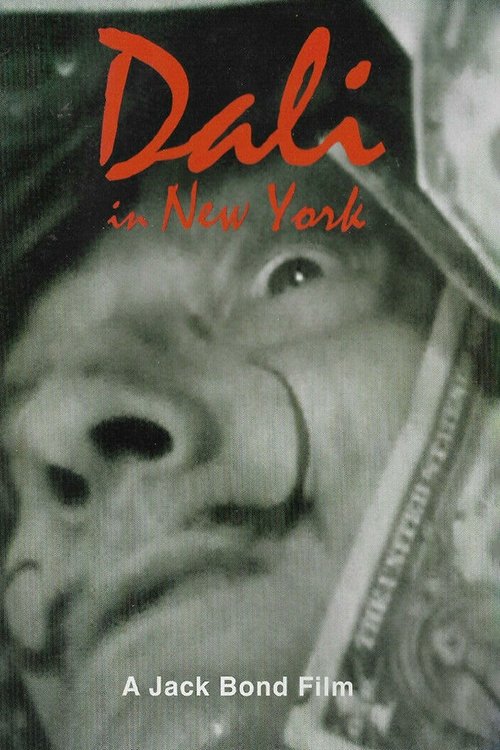 Dali In New York photo