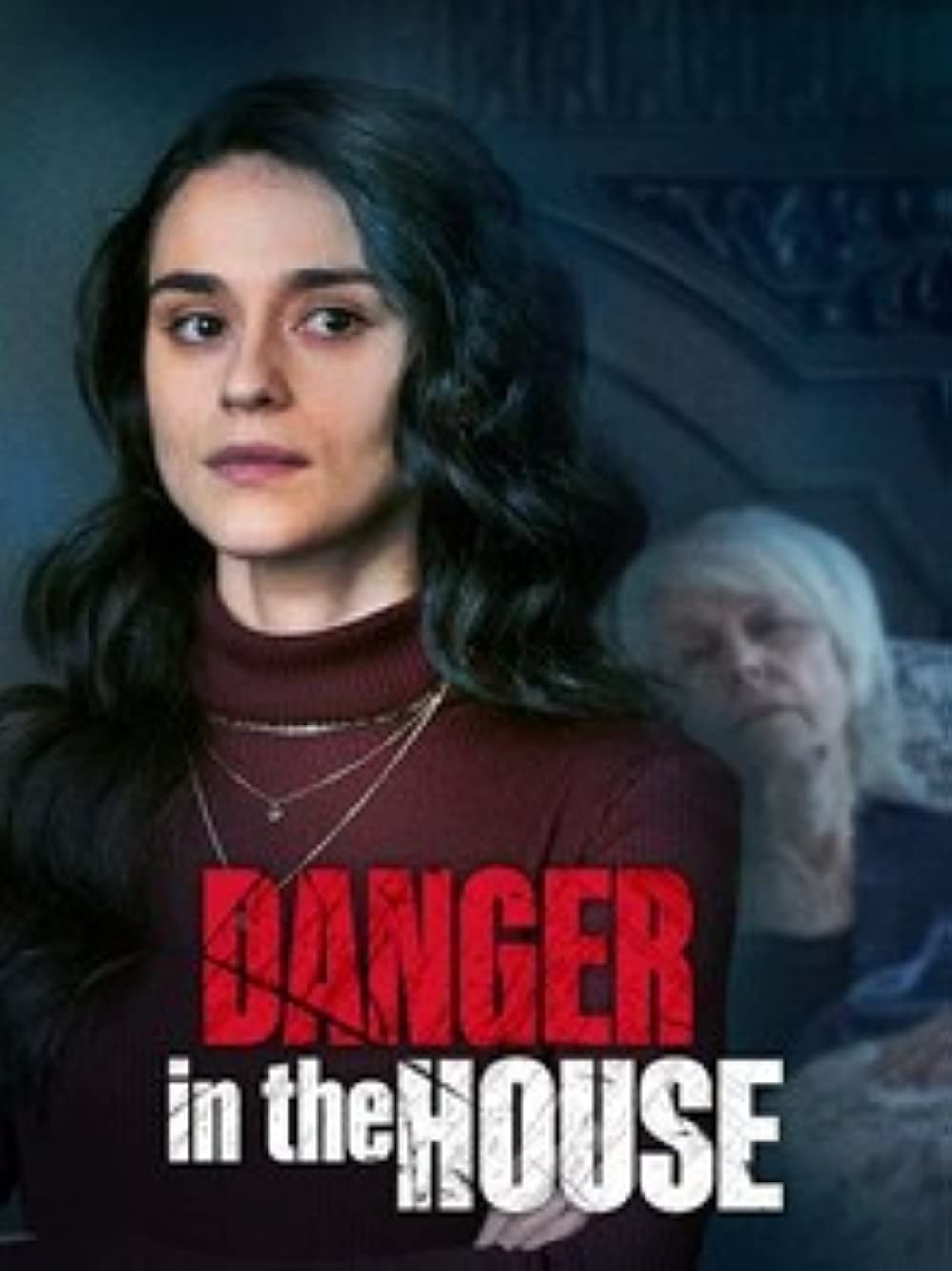 Danger in the House photo