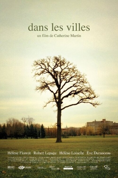 Dans les villes photo