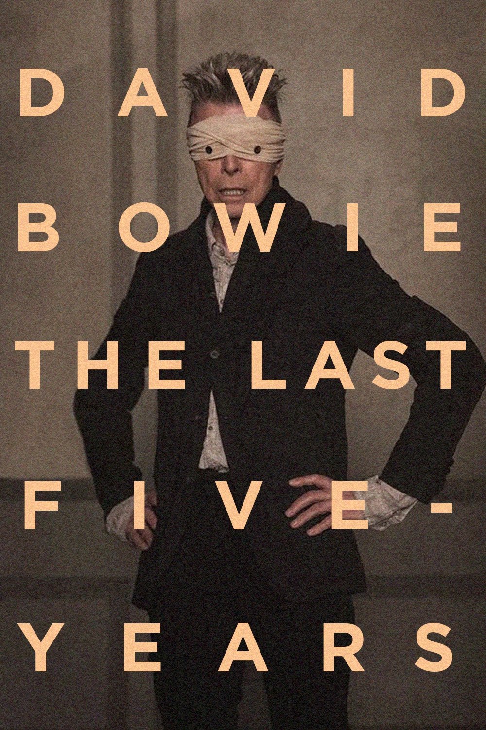 David Bowie: The Last Five Years photo