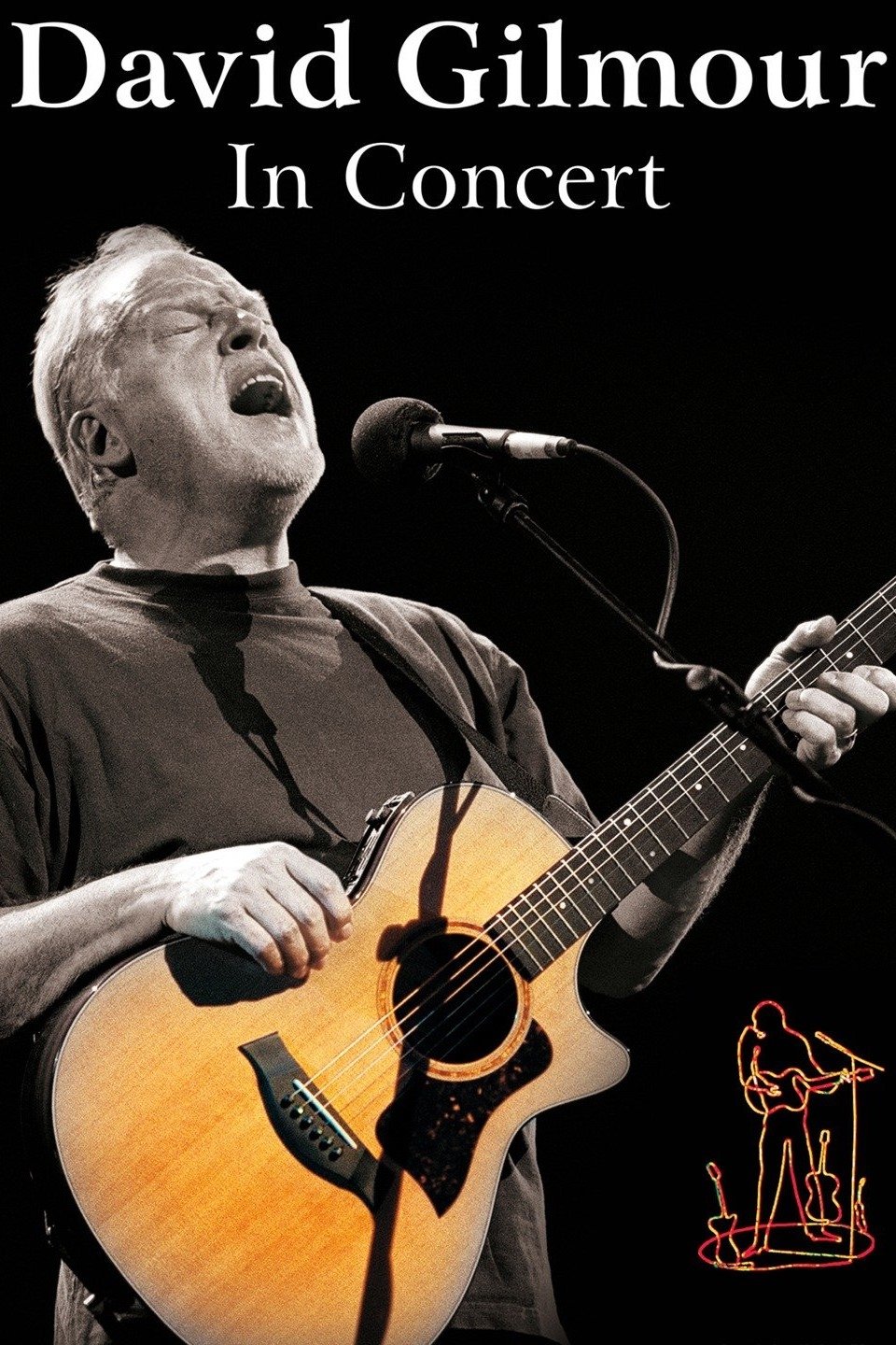 David Gilmour: In Concert photo