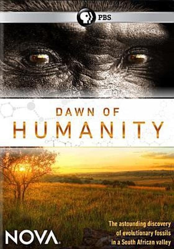 Dawn of Humanity photo
