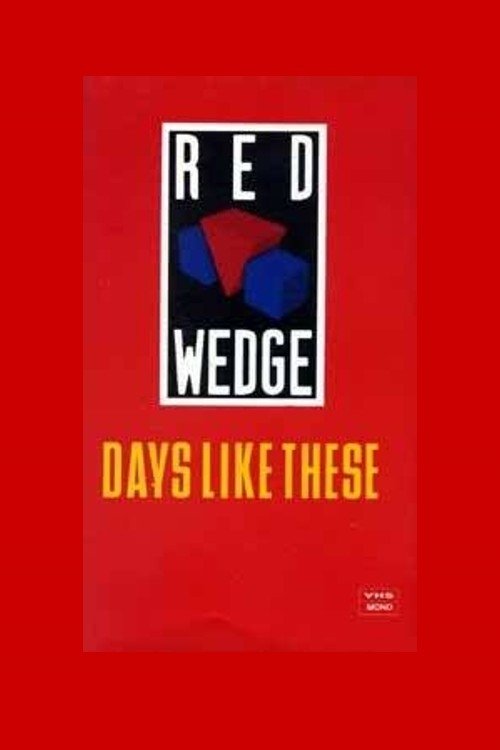 Days Like These photo