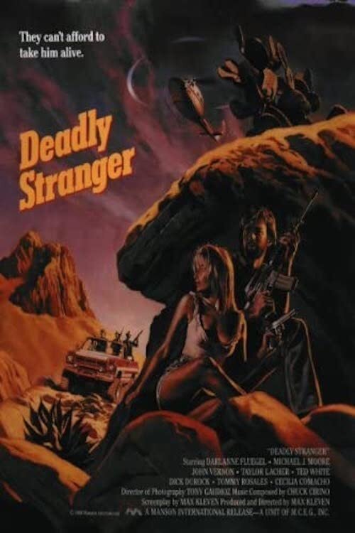 Deadly Stranger photo