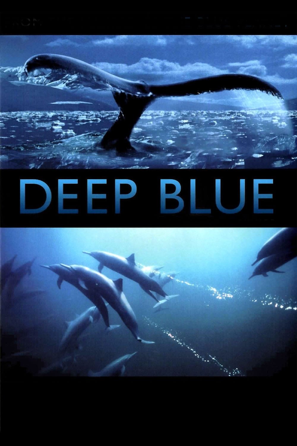 Deep Blue photo