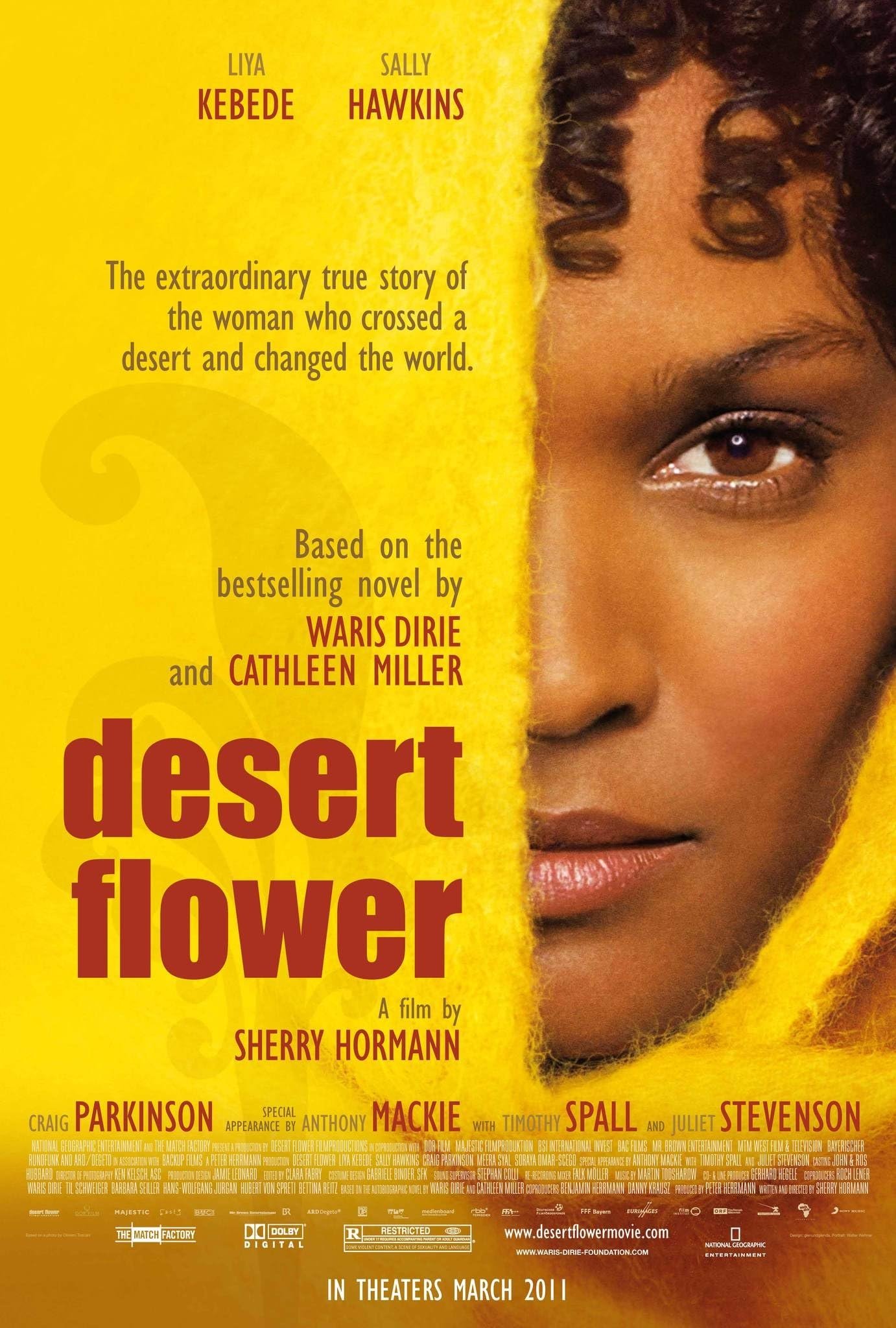 Desert Flower photo