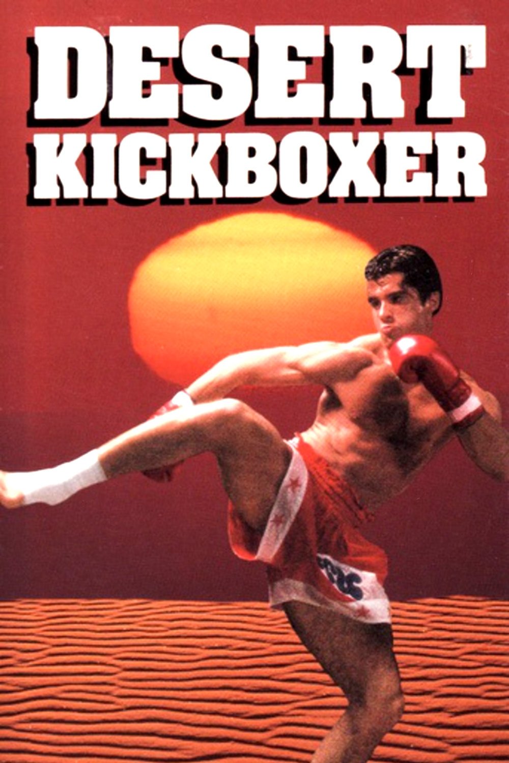 Desert Kickboxer photo