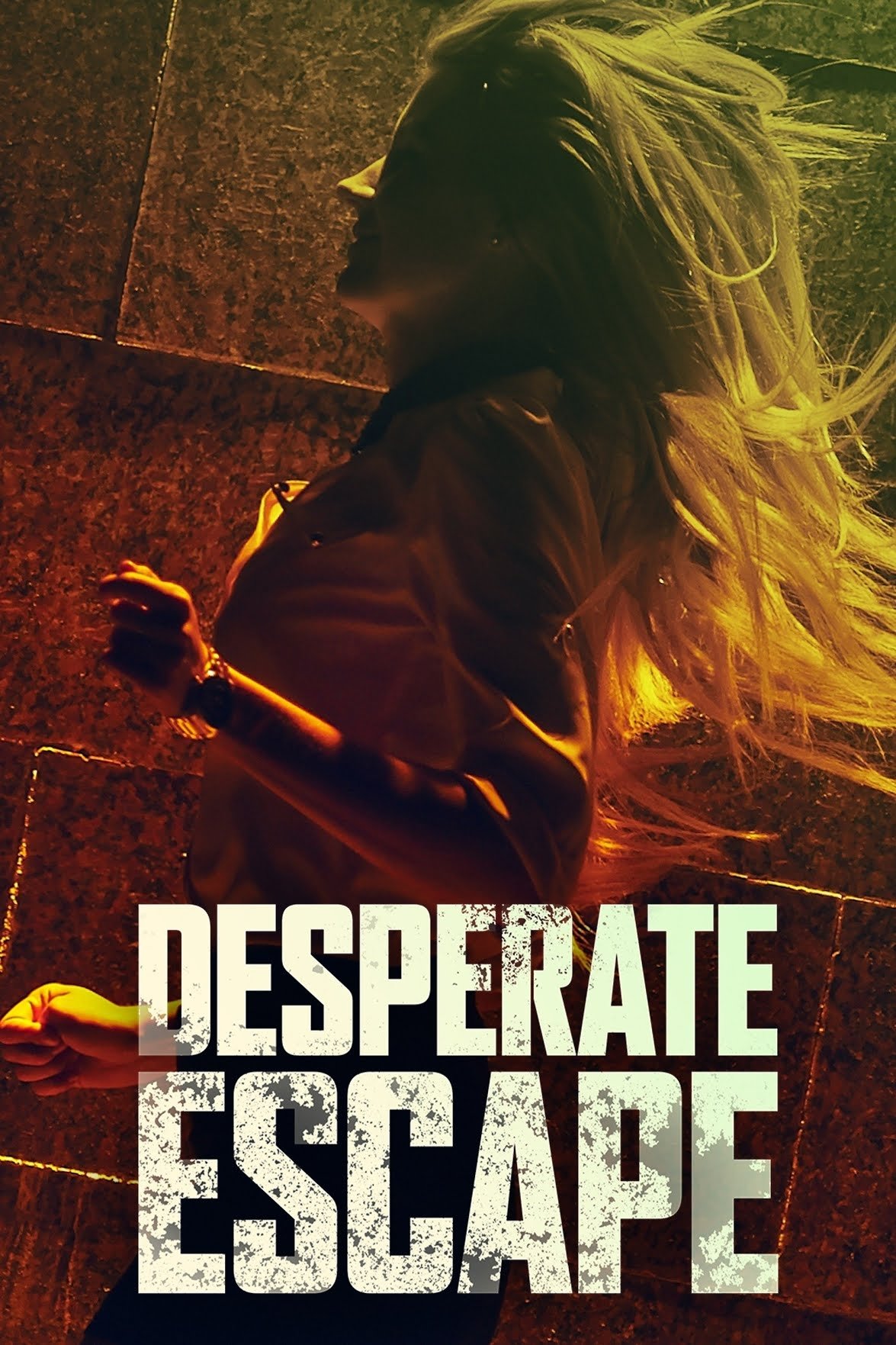 Desperate Escape photo