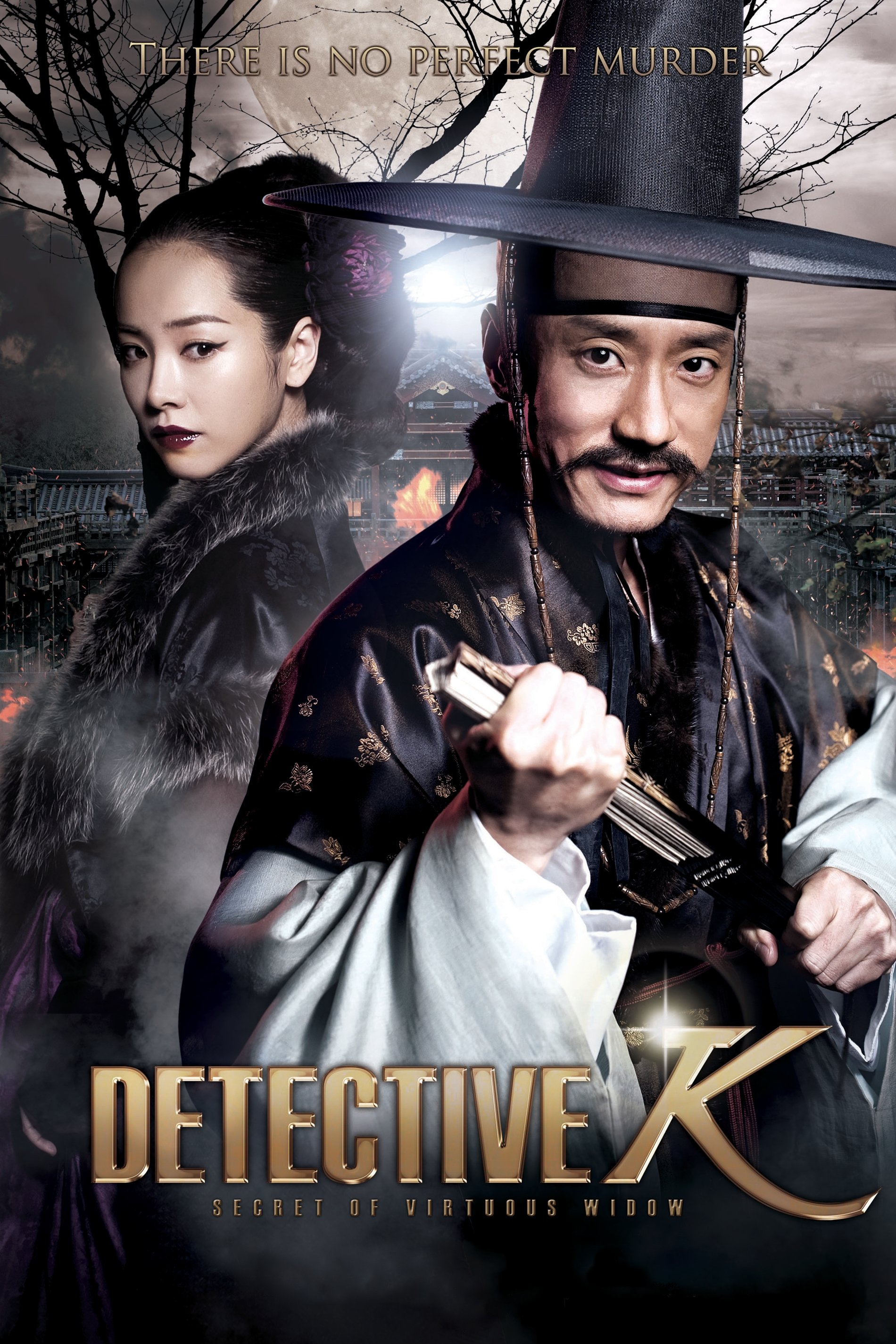 Detective K: Secret of Virtuous Widow photo
