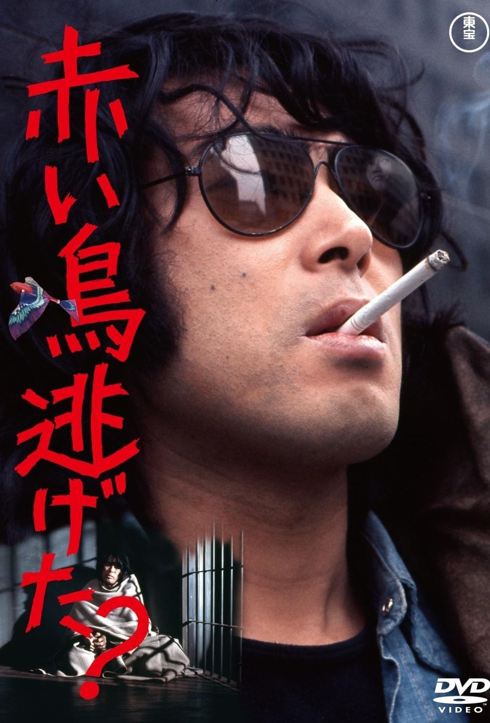 Did the Red Bird Escape? photo