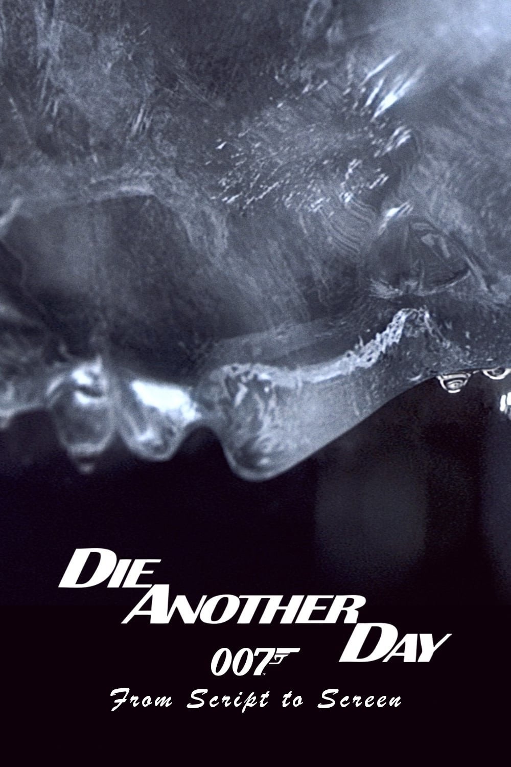 Die Another Day: From Script to Screen photo