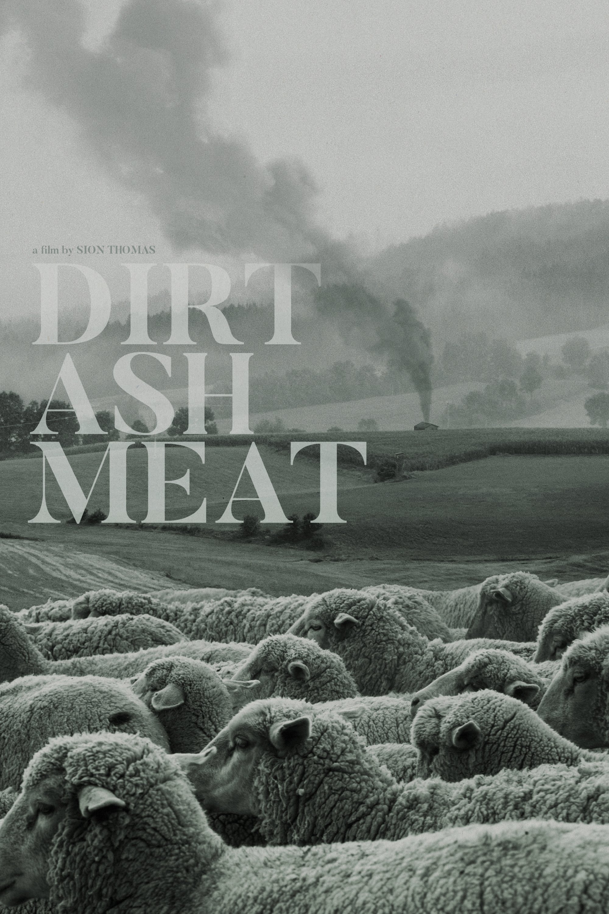 Dirt Ash Meat photo