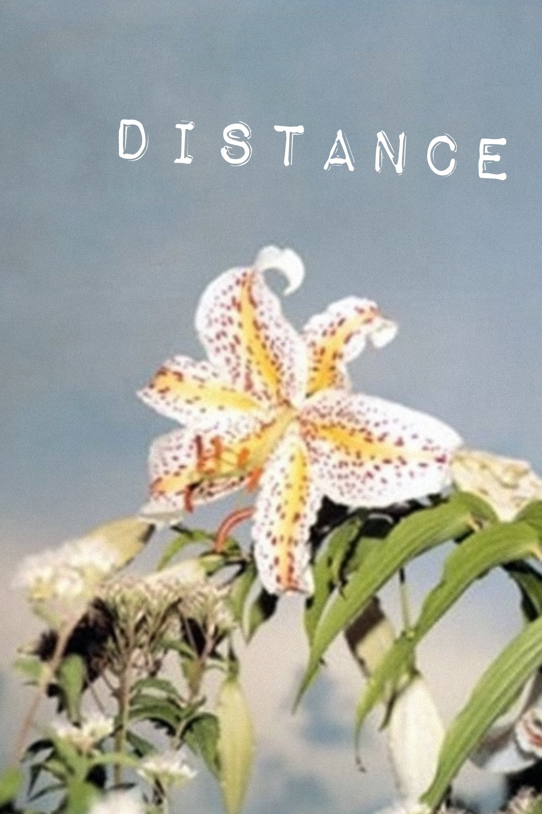 Distance photo