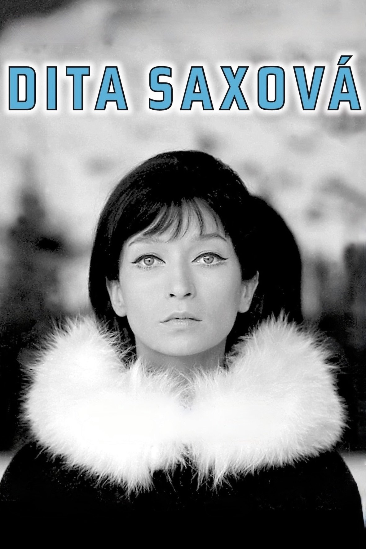 Dita Saxová photo