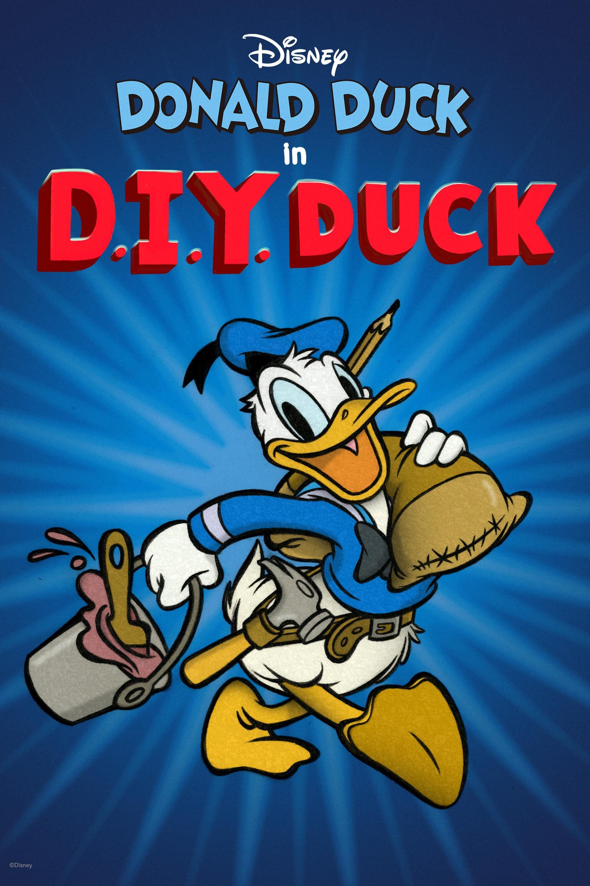 D.I.Y. Duck photo