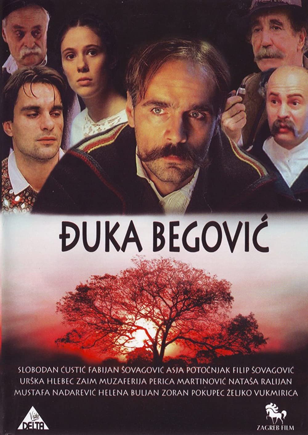 Djuka Begovic photo