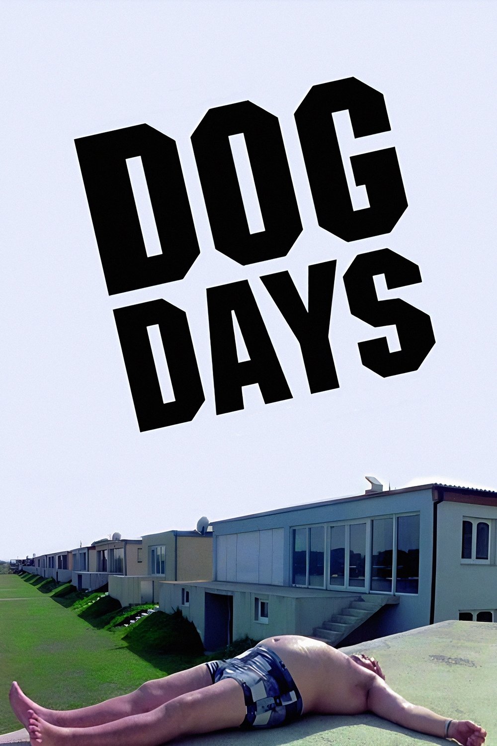 Dog Days photo