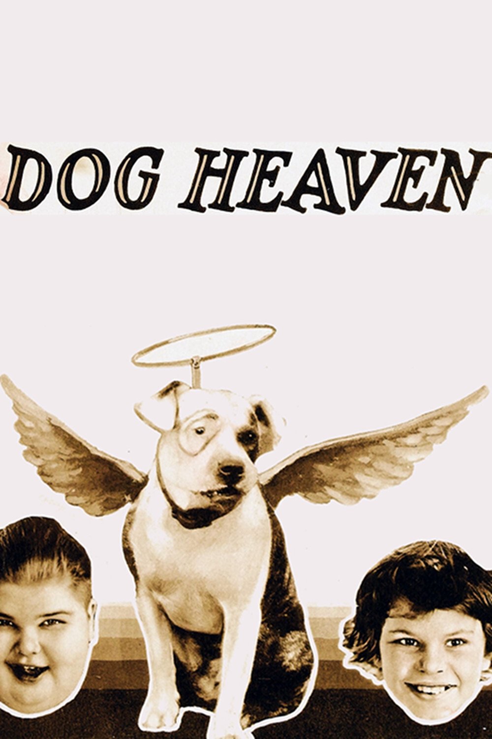 Dog Heaven photo