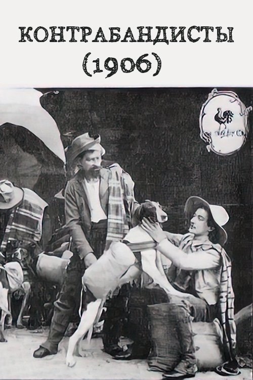 Dogs Used as Smugglers photo