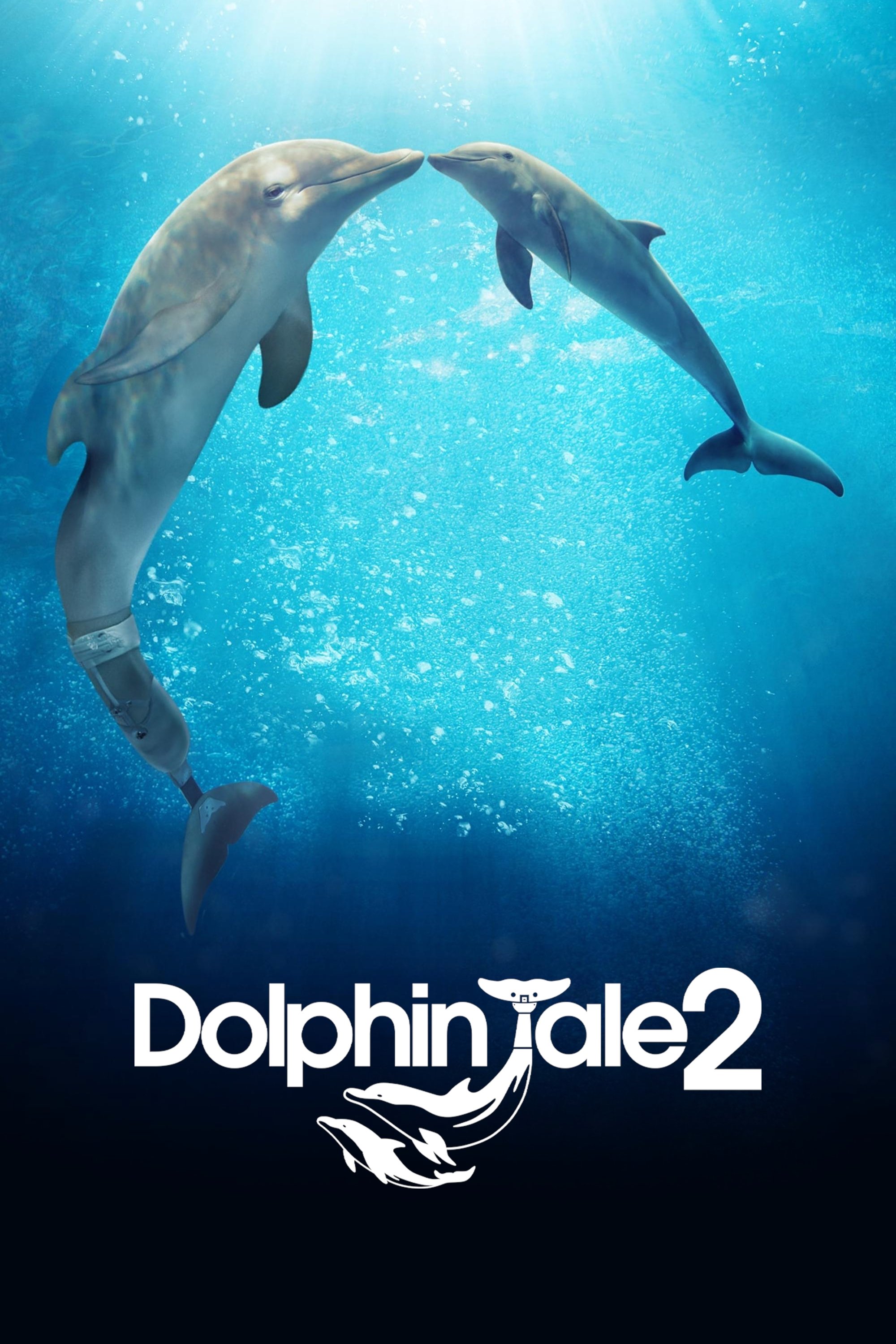 Dolphin Tale 2 photo