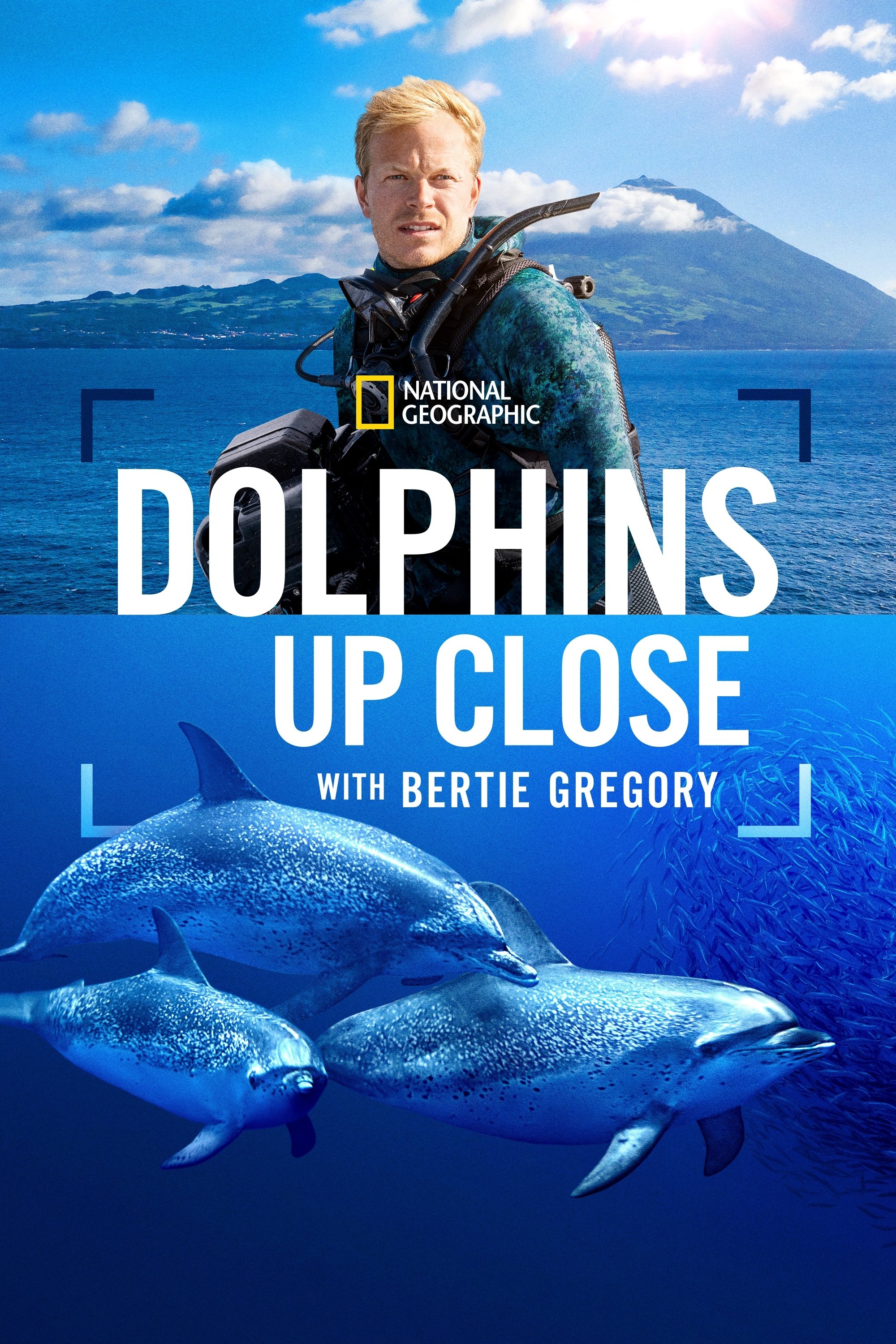 Dolphins Up Close with Bertie Gregory photo