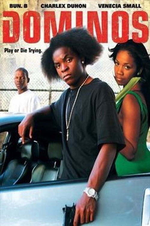 Dominos: The Games We Play photo