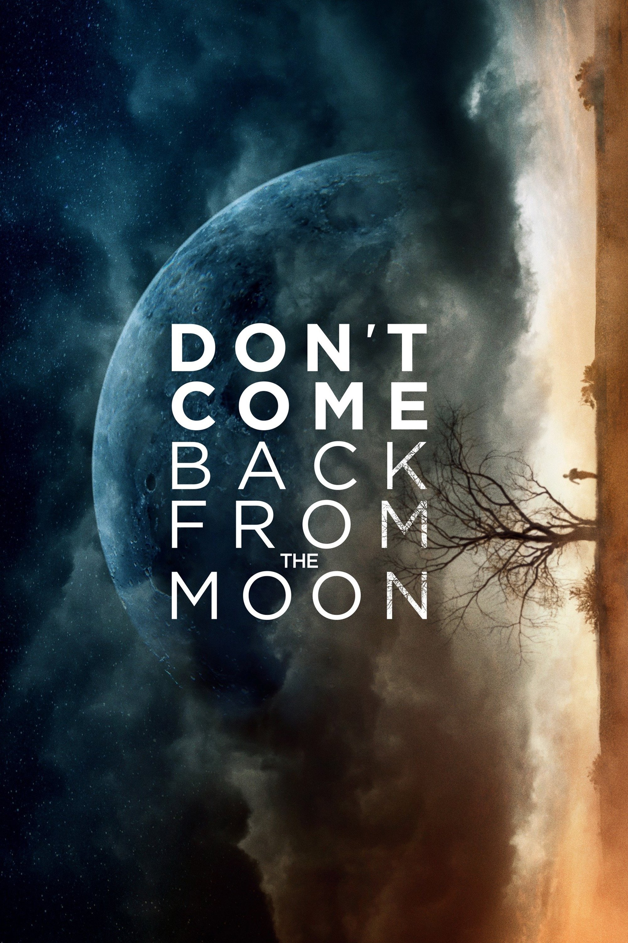 Don't Come Back from the Moon photo