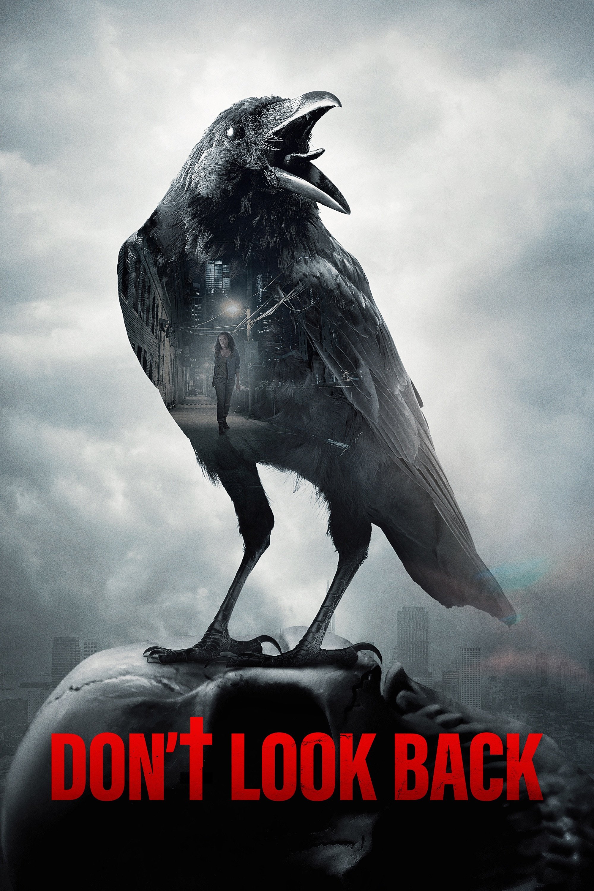 Don't Look Back photo