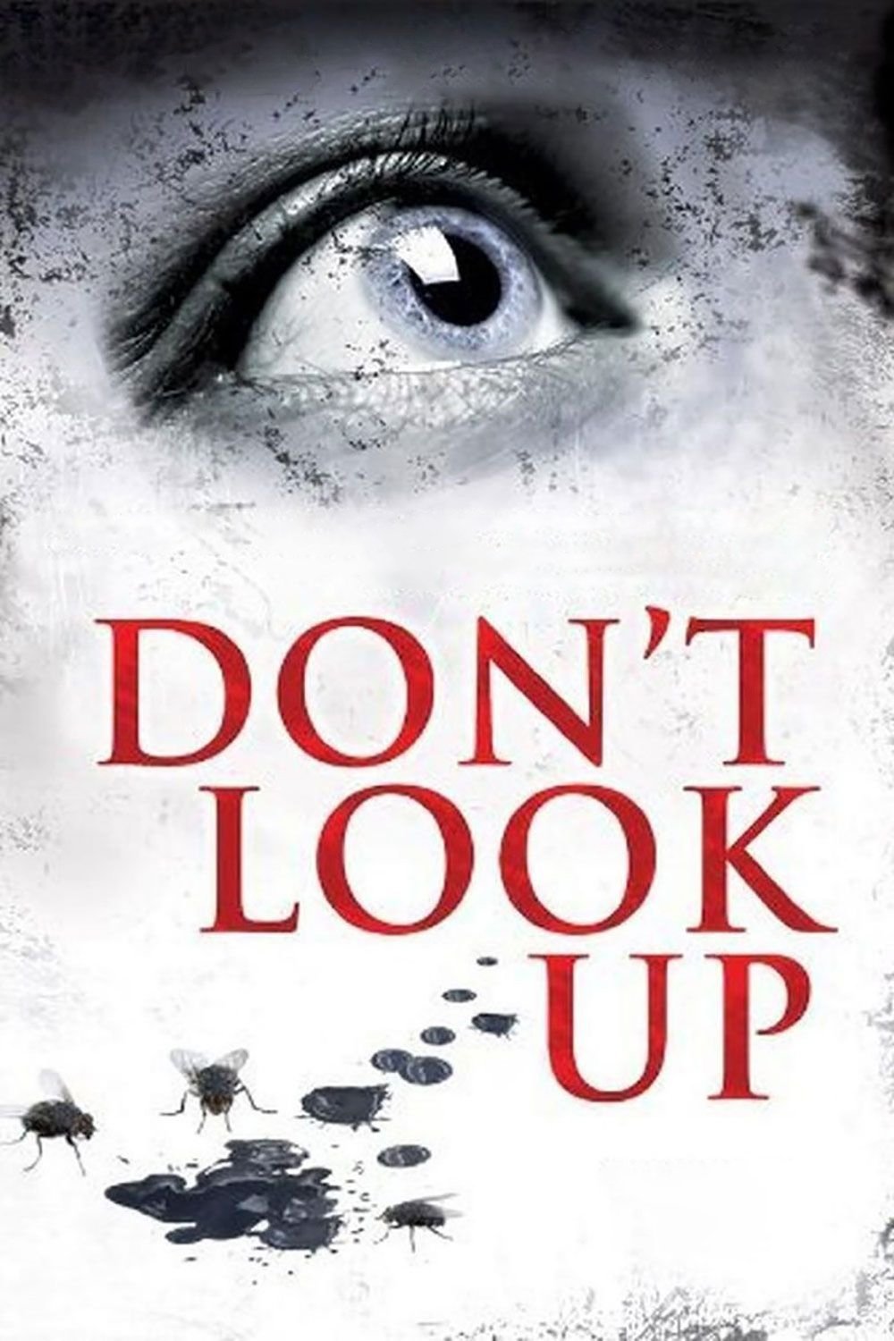 Don't Look Up photo