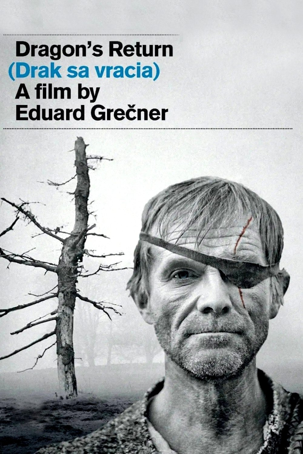 Dragon's Return photo