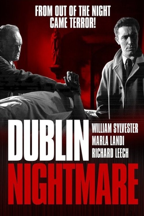 Dublin Nightmare photo