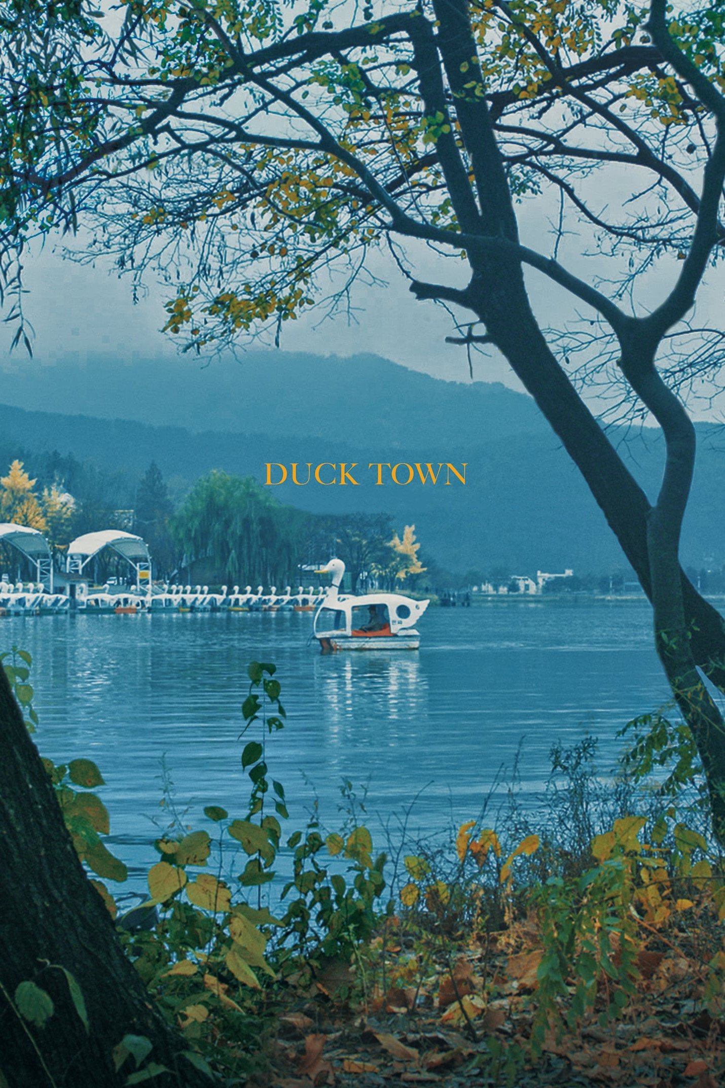Duck Town photo