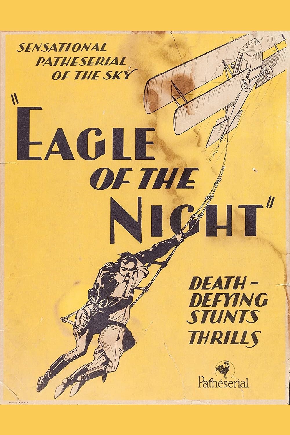 Eagle of the Night photo