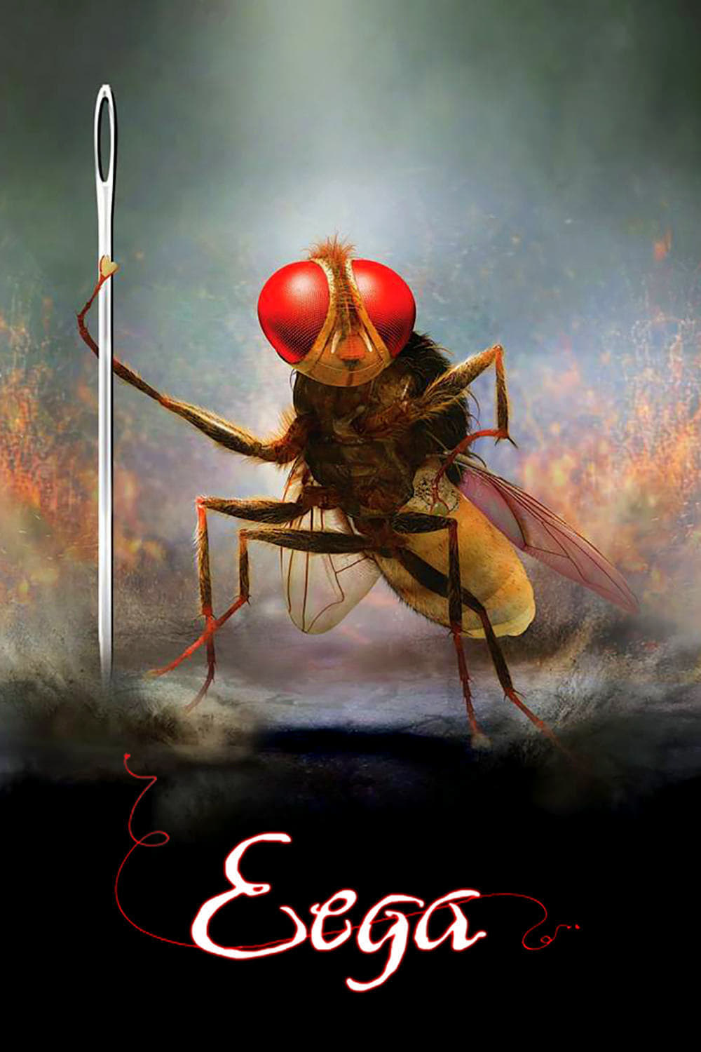 Eega photo