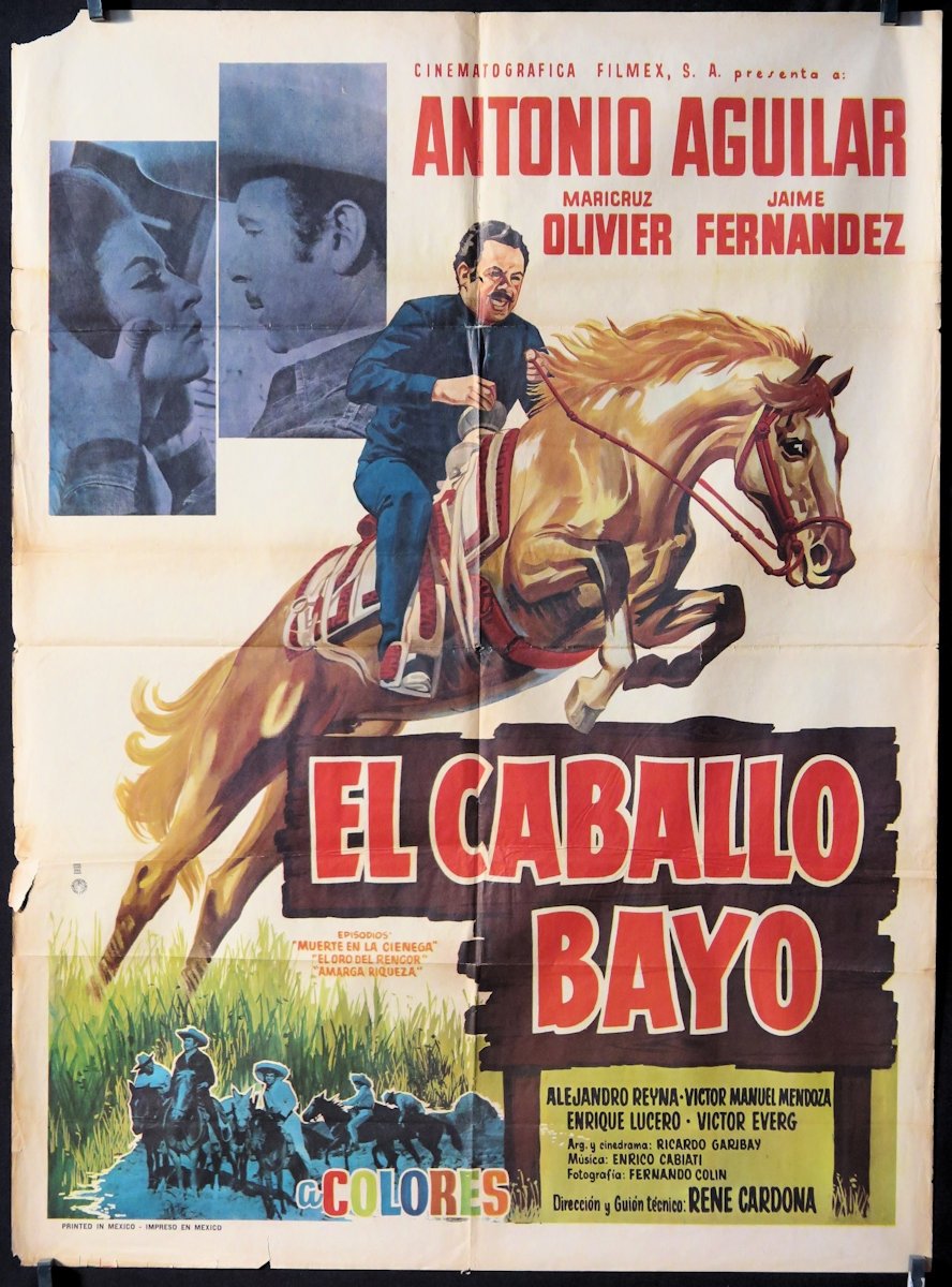 El Caballo Bayo photo