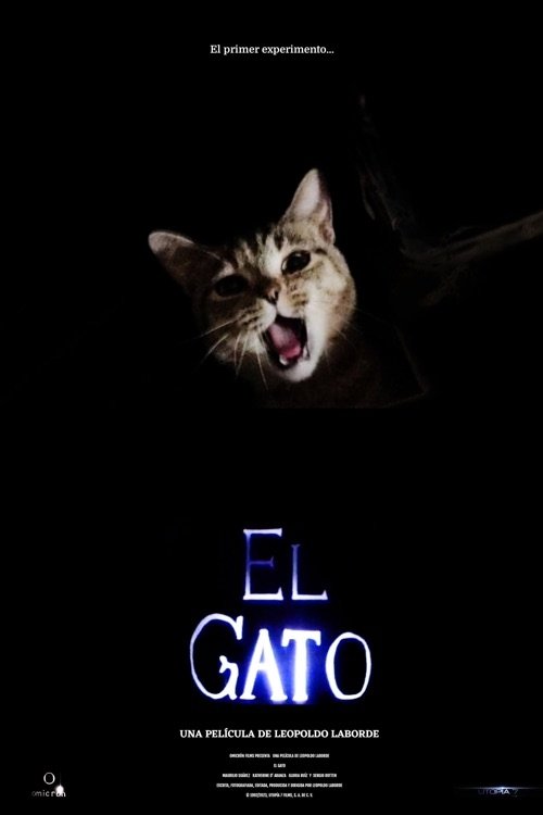 El gato photo