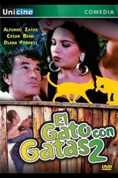 El gato con gatas II photo