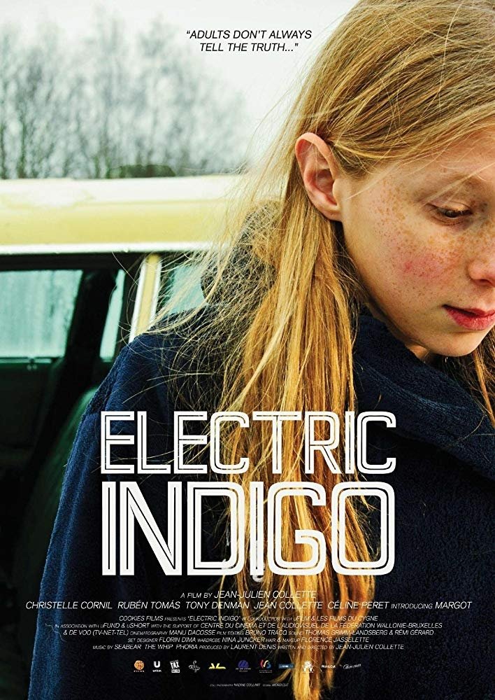 Electric Indigo photo