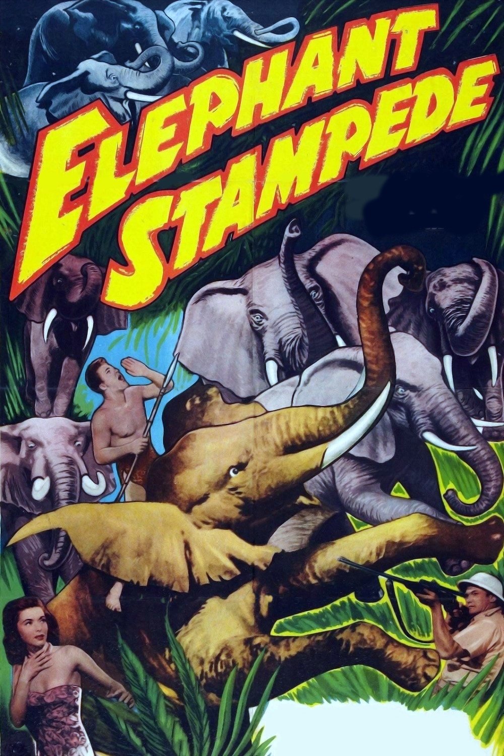Elephant Stampede photo