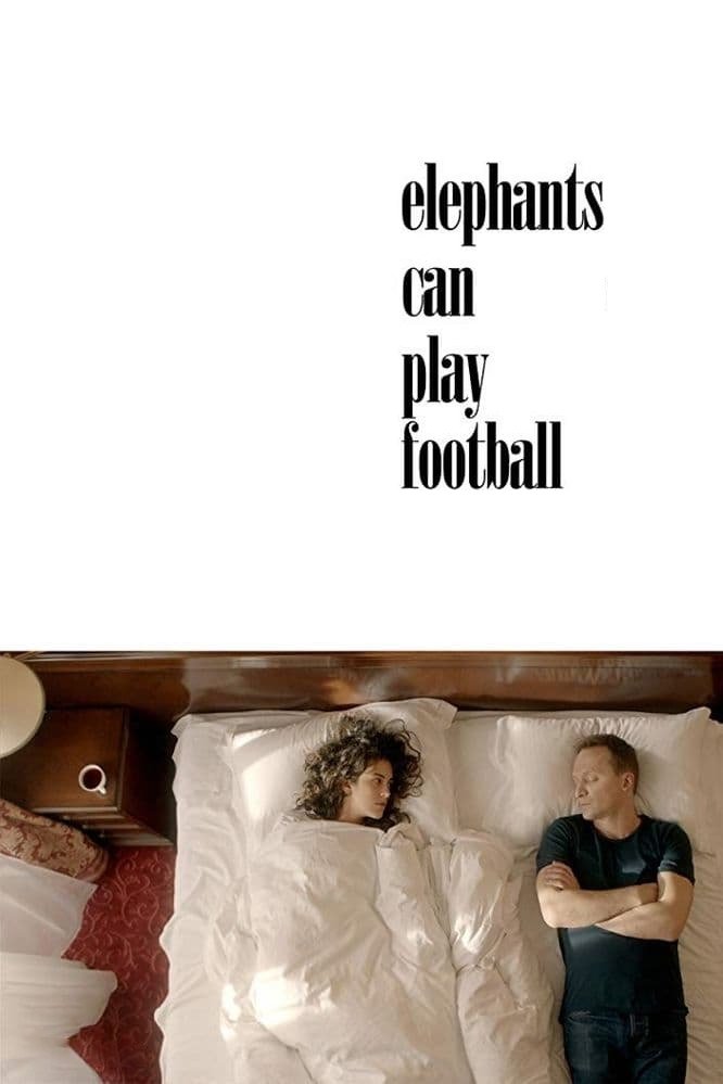 Elephants Can Play Football photo