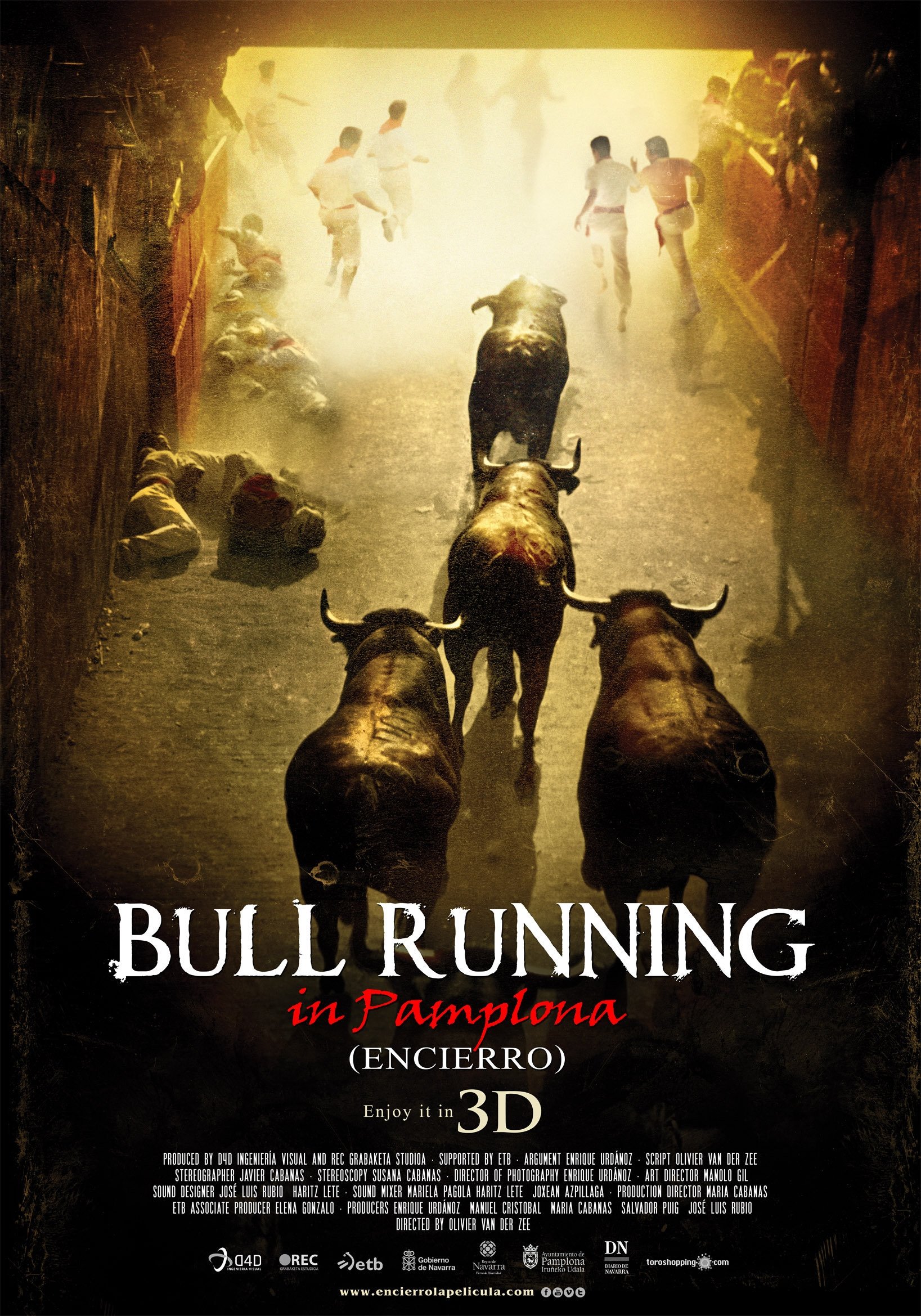Encierro 3D: Bull Running in Pamplona photo