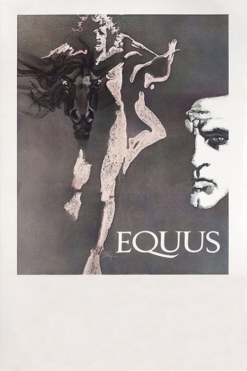 Equus photo