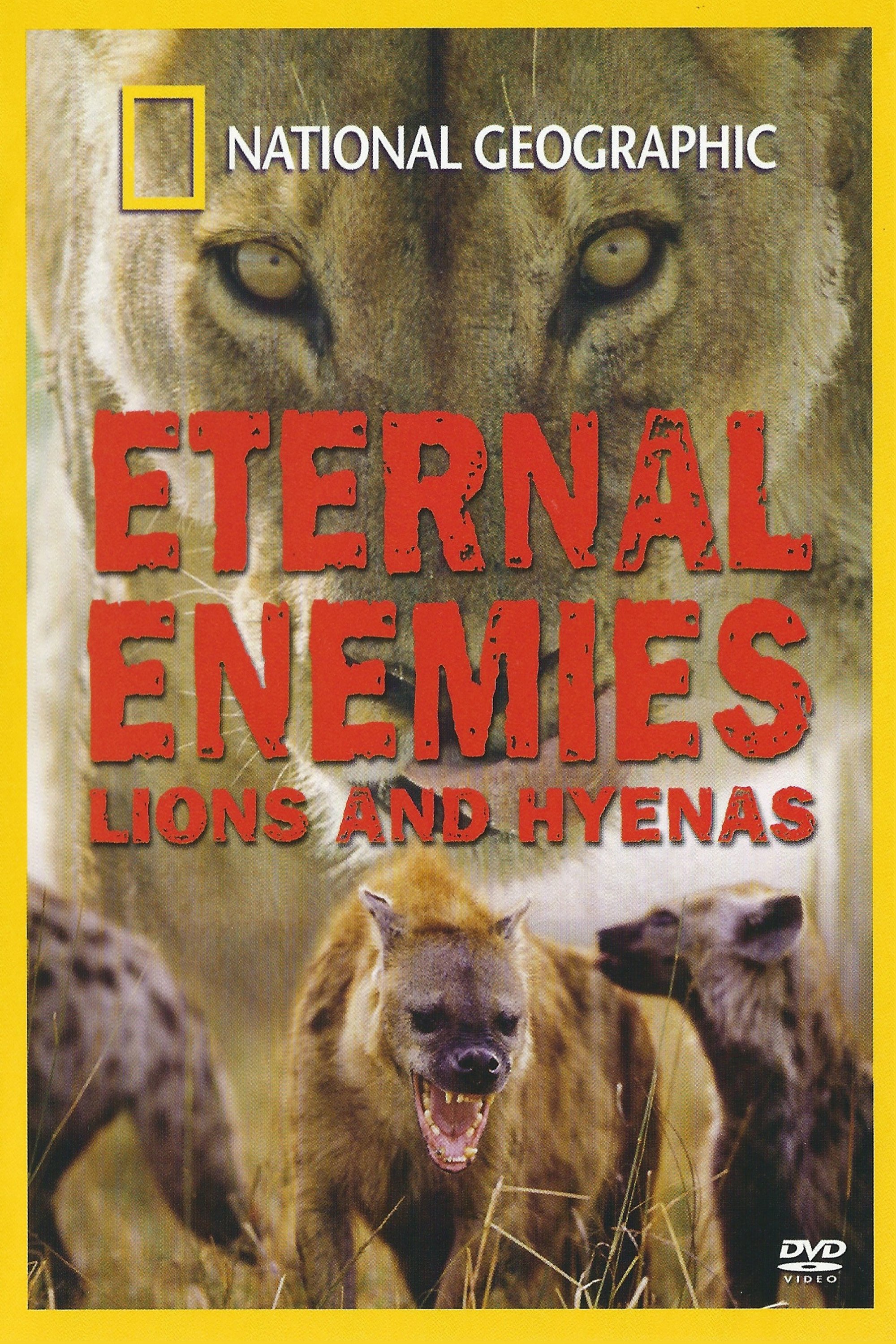 Eternal Enemies: Lions and Hyenas photo