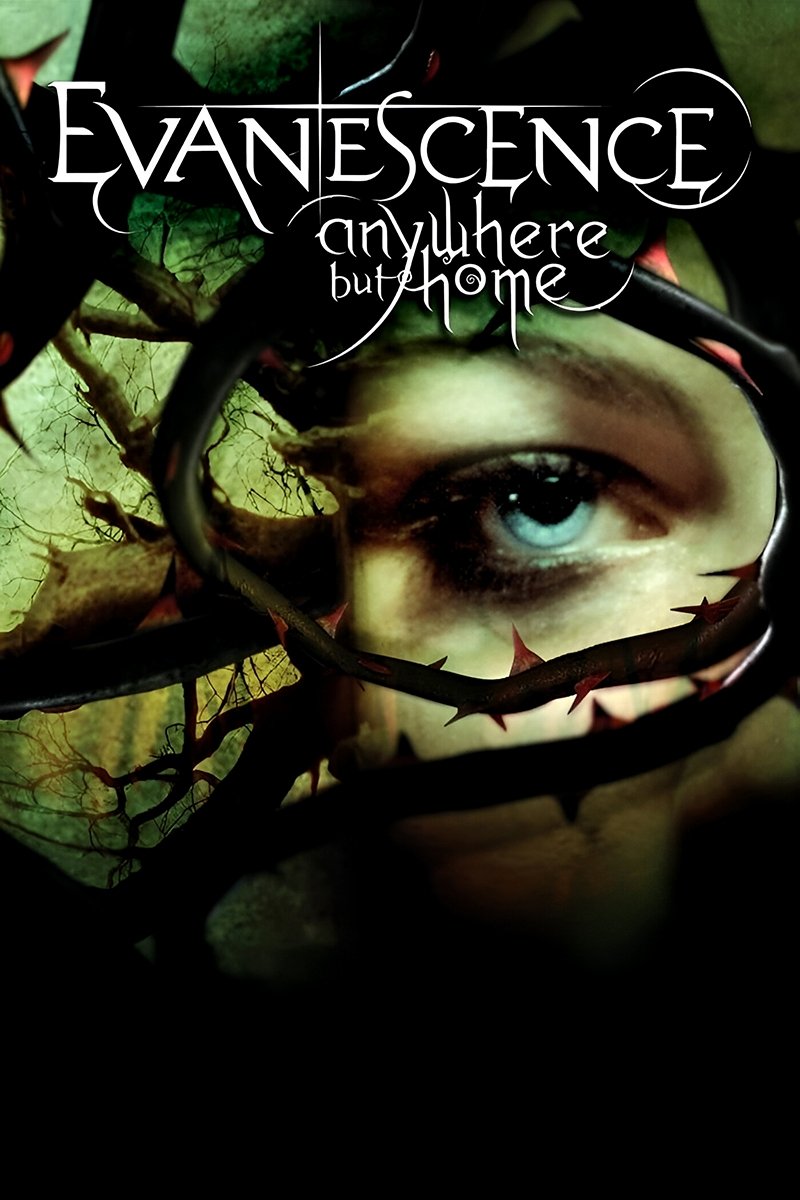Evanescence: Anywhere But Home photo