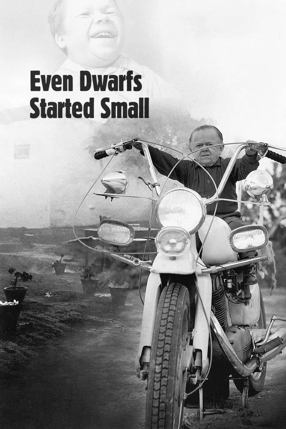 Even Dwarfs Started Small photo